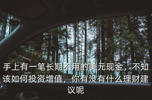 手上有一筆長(zhǎng)期不用的美元現(xiàn)金，不知該如何投資增值，你有沒有什么理財(cái)建議呢