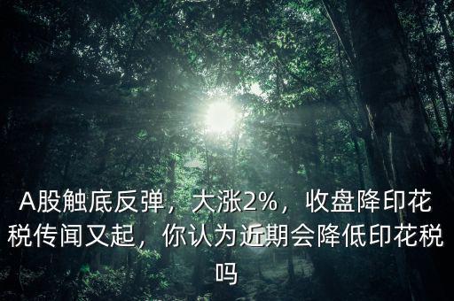 A股觸底反彈，大漲2%，收盤降印花稅傳聞又起，你認(rèn)為近期會降低印花稅嗎