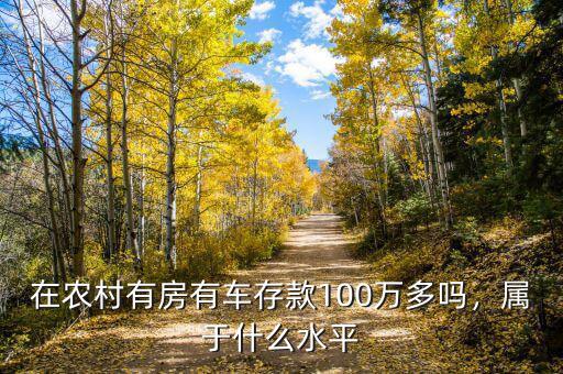 在農(nóng)村有房有車存款100萬多嗎，屬于什么水平