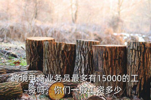 跨境電商業(yè)務(wù)員最多有15000的工資嗎，你們一般工資多少