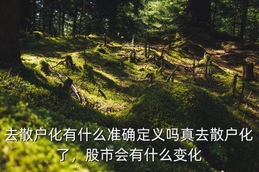去散戶(hù)化有什么準(zhǔn)確定義嗎真去散戶(hù)化了，股市會(huì)有什么變化