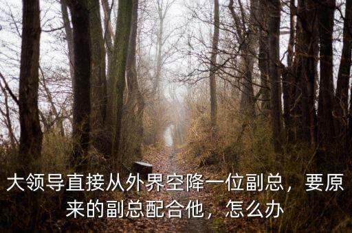 大領導直接從外界空降一位副總，要原來的副總配合他，怎么辦