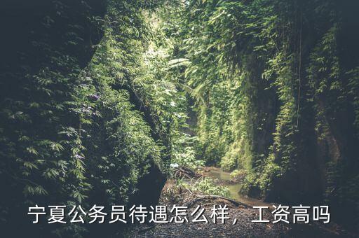 寧夏公務(wù)員待遇怎么樣，工資高嗎