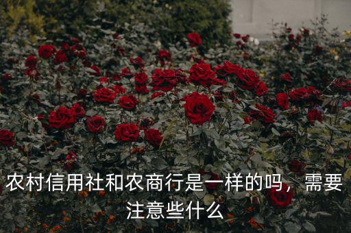 農村信用社和農商行是一樣的嗎，需要注意些什么