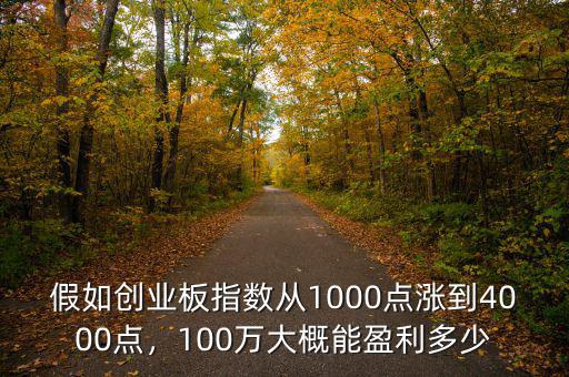 假如創(chuàng)業(yè)板指數(shù)從1000點(diǎn)漲到4000點(diǎn)，100萬(wàn)大概能盈利多少