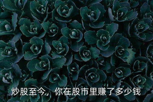 炒股至今，你在股市里賺了多少錢