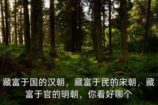 藏富于國的漢朝，藏富于民的宋朝，藏富于官的明朝，你看好哪個