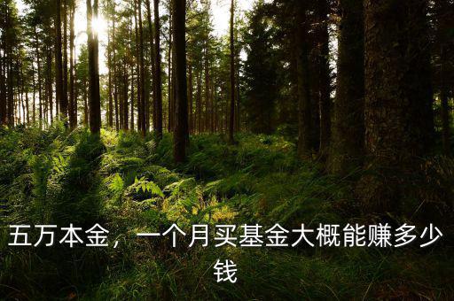 五萬(wàn)本金，一個(gè)月買基金大概能賺多少錢