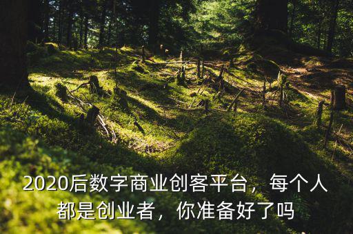 2020后數(shù)字商業(yè)創(chuàng)客平臺，每個人都是創(chuàng)業(yè)者，你準(zhǔn)備好了嗎