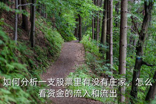 如何分析一支股票里有沒有莊家，怎么看資金的流入和流出