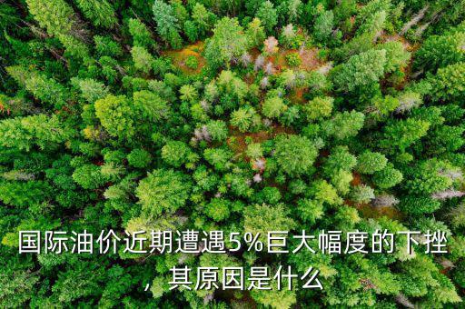 國際油價近期遭遇5%巨大幅度的下挫，其原因是什么