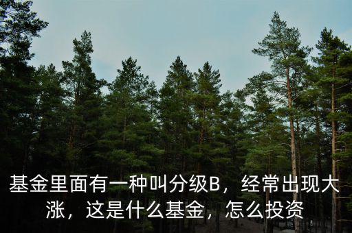 基金里面有一種叫分級B，經(jīng)常出現(xiàn)大漲，這是什么基金，怎么投資