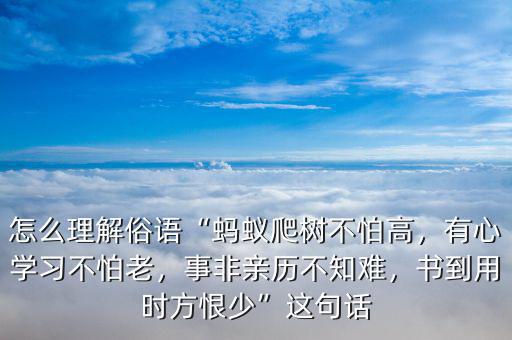 什么螞蟻不怕吵,有心學(xué)習不怕老