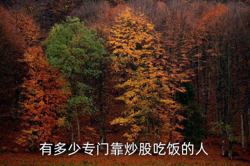 有多少人靠炒股,有多少專(zhuān)門(mén)靠炒股吃飯的人