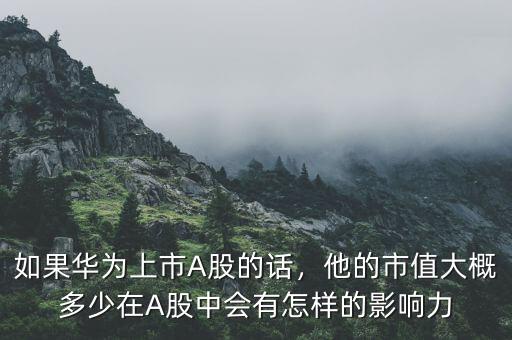如果華為上市A股的話，他的市值大概多少在A股中會(huì)有怎樣的影響力