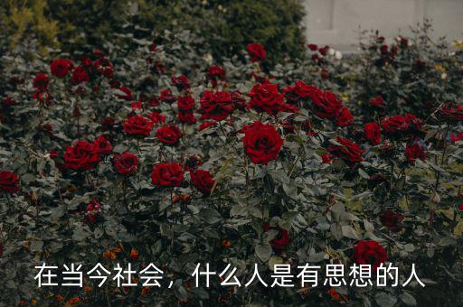 在當今社會，什么人是有思想的人