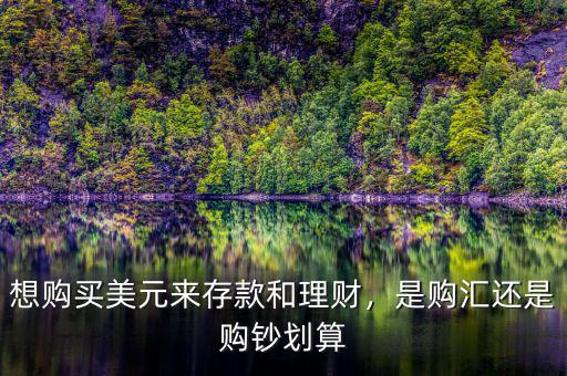 買(mǎi)美元怎么理財(cái),你有沒(méi)有什么理財(cái)建議呢