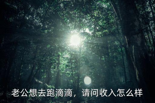北京跑專車(chē)收入怎么樣,請(qǐng)問(wèn)收入怎么樣