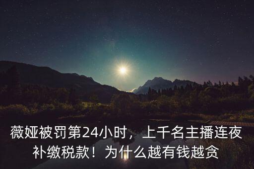 薇婭被罰第24小時，上千名主播連夜補繳稅款！為什么越有錢越貪