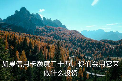 如果信用卡額度二十萬(wàn)，你們會(huì)用它來(lái)做什么投資