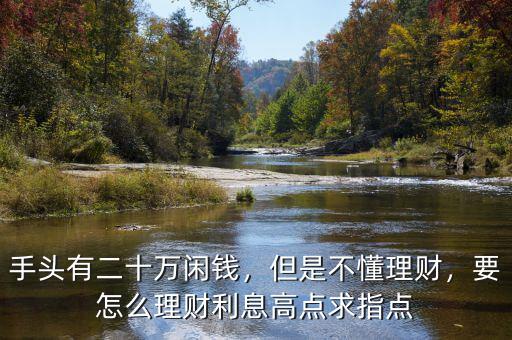 手頭有二十萬閑錢，但是不懂理財，要怎么理財利息高點求指點
