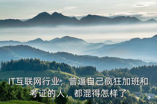 IT互聯(lián)網(wǎng)行業(yè)，曾逼自己瘋狂加班和考證的人，都混得怎樣了