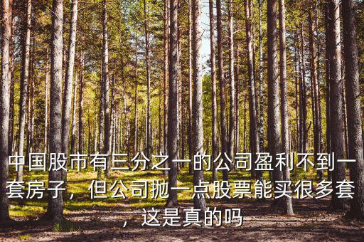 中國股市有三分之一的公司盈利不到一套房子，但公司拋一點(diǎn)股票能買很多套，這是真的嗎
