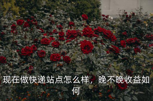 現(xiàn)在做快遞站點怎么樣，晚不晚收益如何