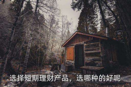 選擇短期理財產(chǎn)品，選哪種的好呢