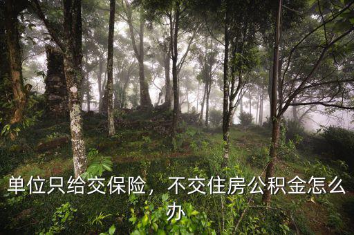 單位只給交保險(xiǎn)，不交住房公積金怎么辦
