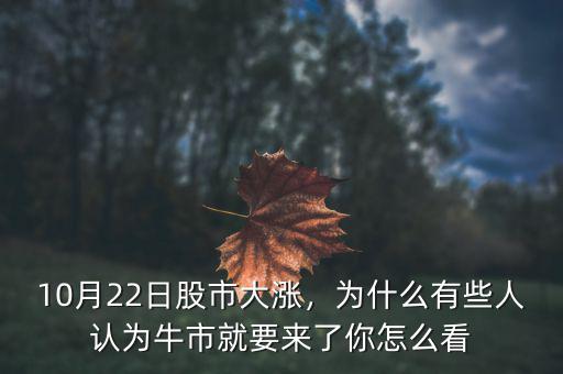 10月22日股市大漲，為什么有些人認(rèn)為牛市就要來了你怎么看