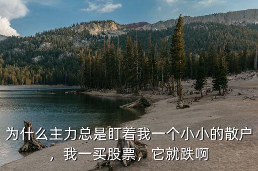 為什么主力總是盯著我一個小小的散戶，我一買股票，它就跌啊