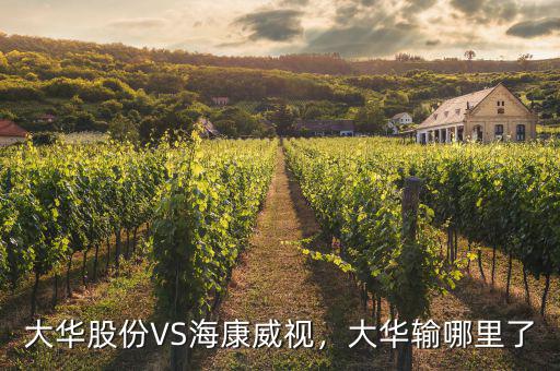 ?？低曉趺闯钟泄煞?寧德時(shí)代和?？低?/></a></span><span id=