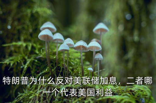 特朗普為什么反對美聯(lián)儲加息，二者哪一個代表美國利益