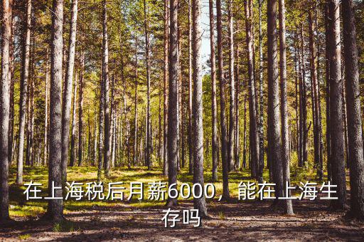 在上海稅后月薪6000，能在上海生存嗎