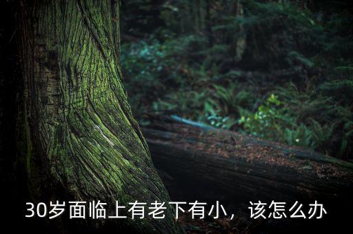 30歲面臨上有老下有小，該怎么辦