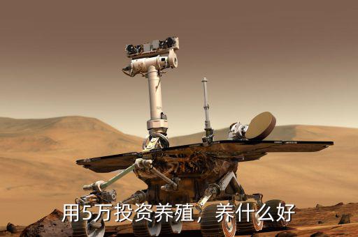 用5萬投資養(yǎng)殖，養(yǎng)什么好