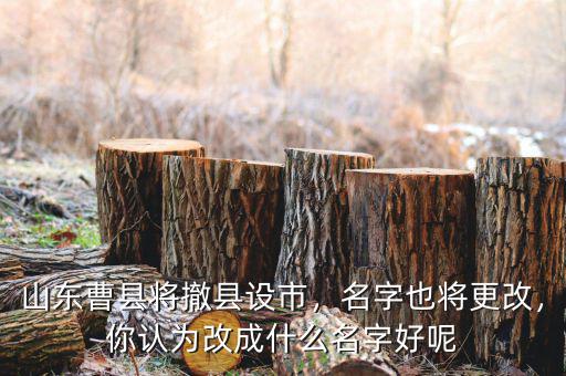 山東曹縣將撤縣設(shè)市，名字也將更改，你認為改成什么名字好呢