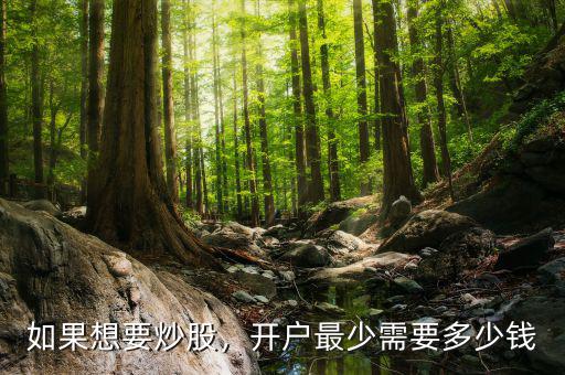如果想要炒股，開戶最少需要多少錢