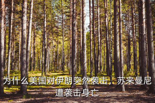 為什么美國對伊朗突然襲擊，蘇來曼尼遭襲擊身亡