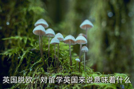 英國脫歐，對留學(xué)英國來說意味著什么
