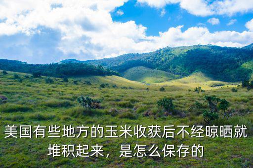 美國有些地方的玉米收獲后不經(jīng)晾曬就堆積起來，是怎么保存的