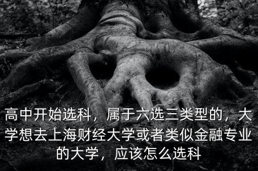 高中開始選科，屬于六選三類型的，大學(xué)想去上海財經(jīng)大學(xué)或者類似金融專業(yè)的大學(xué)，應(yīng)該怎么選科