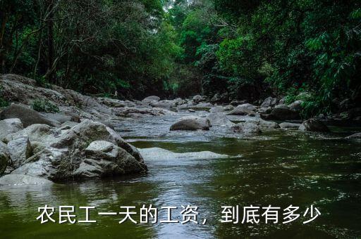 農(nóng)民工一天的工資，到底有多少