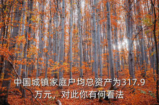 中國城鎮(zhèn)家庭戶均總資產(chǎn)為317.9萬元，對此你有何看法