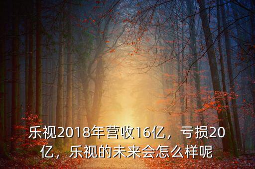 樂視2018年營收16億，虧損20億，樂視的未來會怎么樣呢