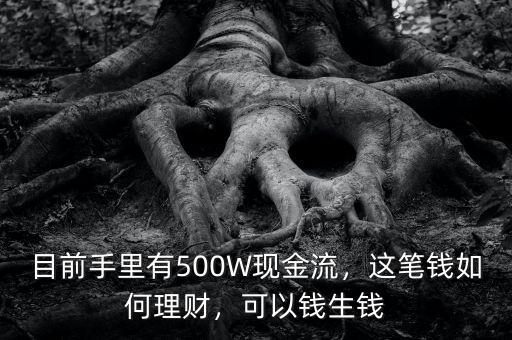 目前手里有500W現(xiàn)金流，這筆錢如何理財，可以錢生錢