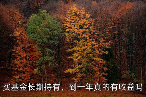 買基金長(zhǎng)期持有，到一年真的有收益嗎