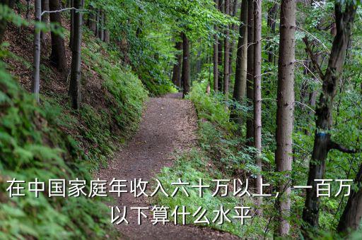 在中國家庭年收入六十萬以上，一百萬以下算什么水平
