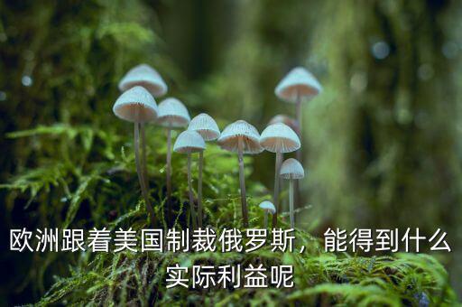 歐洲跟著美國(guó)制裁俄羅斯，能得到什么實(shí)際利益呢